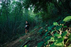 BIB: 
                            <button type="button" onclick="openModal(28124884)" class="btn btn-primary btn-sm float-right btn-popup" data-toggle="modal" data-target=".modal-high-quality">
                        <i class="fas fa-shopping-cart"></i> Add to Cart
                    </button>
                                            <button type="button" onclick="isThisMe(28124884, true)" class="btn btn-success btn-sm float-right btn-popup btn-isme hidden" data-toggle="tooltip" data-placement="bottom" title="นี่คือรูปของคุณใช่ไหม คลิกที่นี่เพื่อเอาเข้าอัลบั้ม">
                        <i class="fas fa-plus"></i> Add to album
                    </button>
                    <button type="button" onclick="isThisMe(28124884, false)" class="btn btn-warning btn-sm float-right btn-popup btn-isnotme hidden">
                        <i class="fas fa-ban"></i> Remove from album
                    </button>